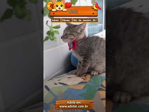 Vídeo de BEBEL
