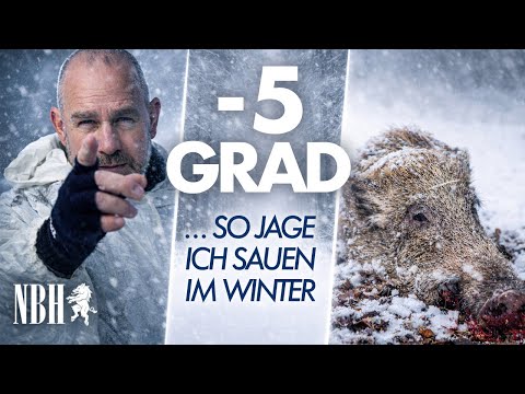 -5 degrees, night & contact with wild boar 🐗❄️ | This is how I hunt wild boar in winter