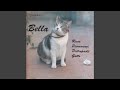 Bella (feat. Enzo Pietropaoli, Roberto Gatto)