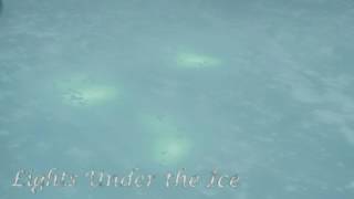 Murray Gold - Lights Under the Ice