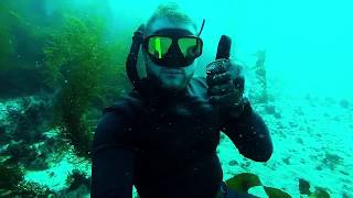 Freediving x Alan Watts &quot;The Unspeakable World&quot;