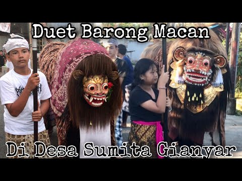 Duet Barong Macan Ngelawang Di Desa Sumita Gianyar