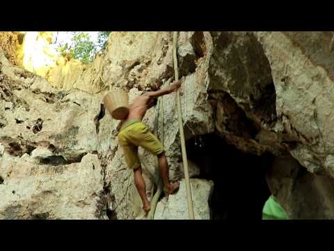 watermelon  up the hill apparently delicious