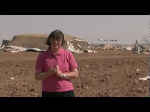 Rosanna Tabasso - Il mio sì nel Sermig