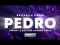 Raffaella Carrà - Pedro (Jaxomy & Agatino Romero Techno Remix)