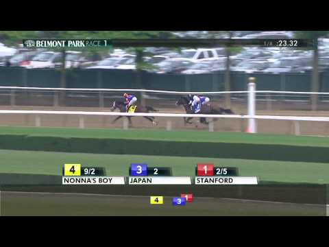 Japan - 2015 WinStar Farm Easy Goer
