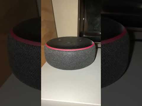 Amazon Alexa: 専門家は恐ろしい監視について警告 – あなたにできることは次のとおりです