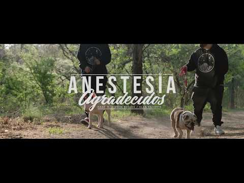 ANESTESIA - AGRADECIDOS