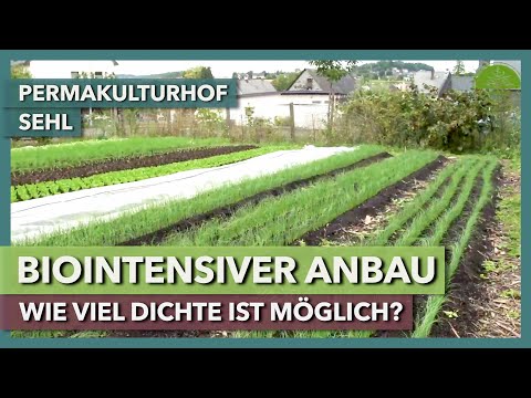 Biointensive farming - what's possible on a small area | Permaculture Farm Sehl | Tour 2