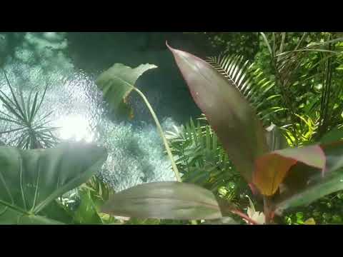 PUREZA RN  [Rio Grande do Norte]