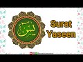 Surah Yaseen يس‎ سورة | Quran Surah | Dawoodi Bohra | Mumeneen Akhbar