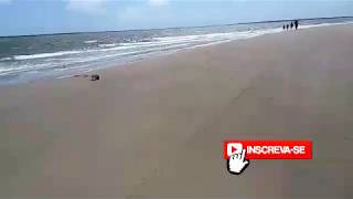 preview picture of video 'Vlog na praia de Tutóia-MA'