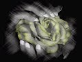 Infernosound-Land der Schwarzen Rosen.wmv ...