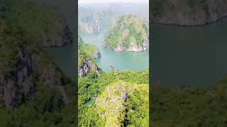 Ile de Catba, Vietnam #shorts #ethnicvoyage #amazingvietnam