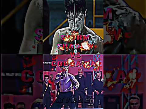 Storm Shadow VS Cobra Kai