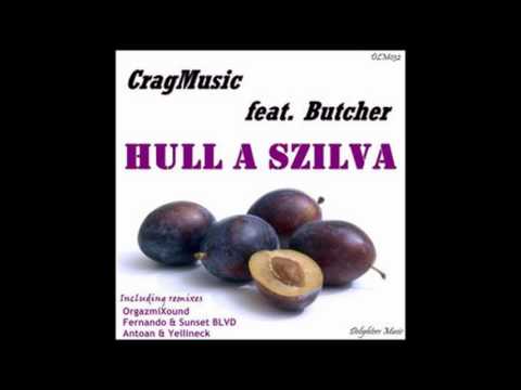 Craigmusic & OrgazmiXound - Hull a szilva (Antoan & Yellineck remix)