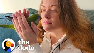 Rescue Parrot Refuses Let Mom Take A Bath Without Him | The Dodo