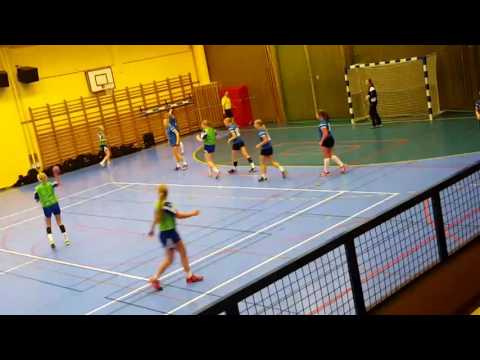 silwing F02 1/4 Skadevi