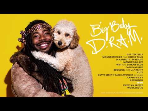 DRAM - 100% (Audio)