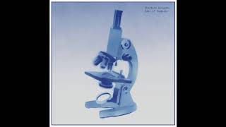 Shintaro Sakamoto - Another Planet