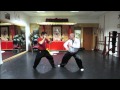 Choy Lay Fut Medley Fighting Techniques 1 蔡李佛 德 尼 蒂 斯 功 夫