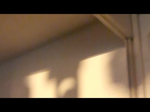 Orquestra Rock E Dinho Ouro Preto