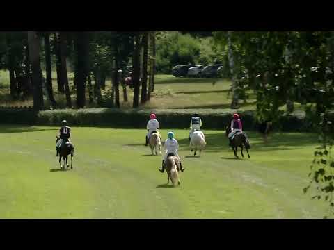 LL - 31.7.2021 - Pony liga - 1. oddíl