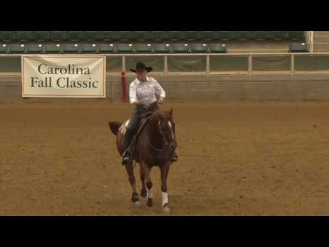 161030 Carol Bell on Bigtimeunbridelbingo NP