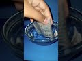 How To Cheat On Exam