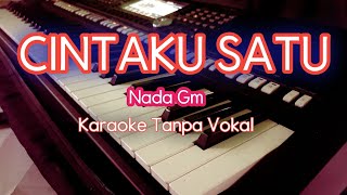 Download lagu Cintaku satu - karaoke tanpa vokal mp3