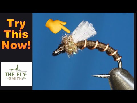 Foam Back Emerger (chocolate thunder)