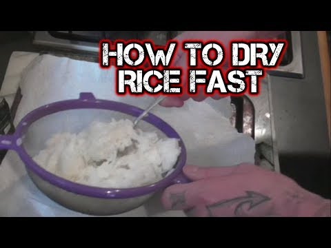 download lagu mp3 mp4 How To Dry Rice Fast, download lagu How To Dry Rice Fast gratis, unduh video klip How To Dry Rice Fast