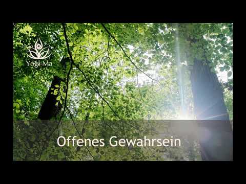 Offenes Gewahrsein/ Achtsamkeitsmeditation