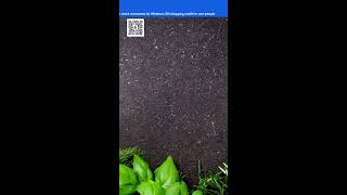 Grow Food Fast