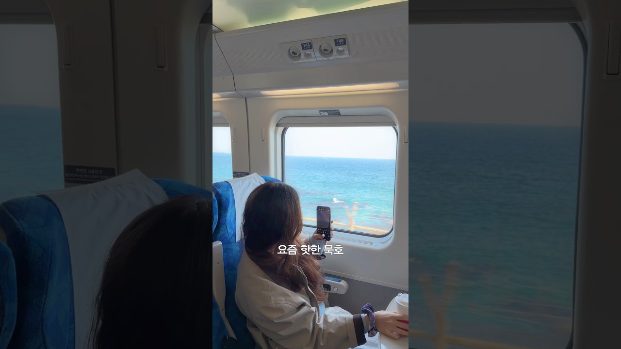 묵호여행 내돈내산코스🩵