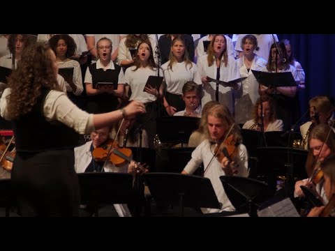 Butterflies and Hurricanes (Orchestral cover)  Muse - Mindel Smid