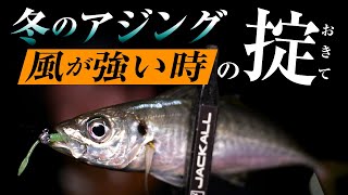 [There is a difference in result of fishing] Aging in strong winds in winter, capture techniques! / Fishing port and embankment / Niki Ishikawa