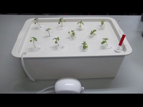 download lagu mp3 mp4 Kit Hydroponic, download lagu Kit Hydroponic gratis, unduh video klip Kit Hydroponic