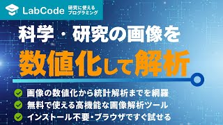 【画像解析入門 #1】ImageJ/Fijiとは?インストール不要で始める科学画像の処理・分析入門