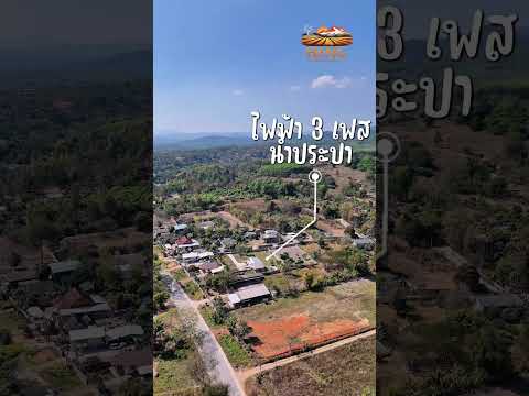 แม่สรวย, เชียงราย, แม่สรวย, แม่สรวย, เชียงราย, 4,672 ตร.ม., ที่ดิน ขาย, โดย Tanapat Yamsai, 500019788 - DDproperty.com