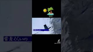日本に住むペンギン #shorts #夏 #この日は冬