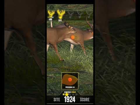 Big Buck Hunter Marksman: Leading shots tips and tricks. - YouTube