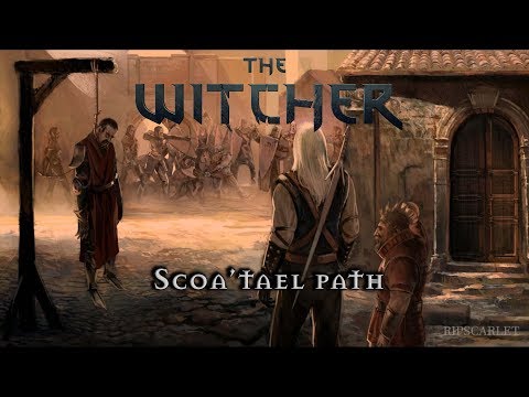 Scoai'tael Path (The witcher ALL CUTSCENE!)