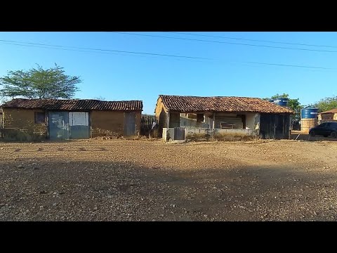 MANHÃ NO SERTÃO: A LIDA CEDINHO NO SÍTIO SÃO JOAQUIM EM VERDEJANTE-PE.