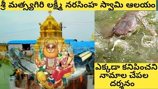 Temple video