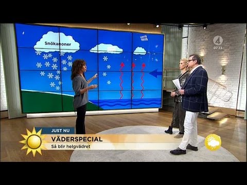 Så blir helgvädret - extremt kraftiga snöbyar - Nyhetsmorgon (TV4)