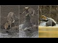 Nayak Nhi Khalnayak Hu Mai Whatsapp Status Crocodile Vs Leopard Fight Scene Status Khalnayak