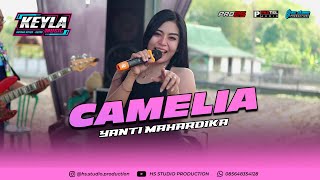 Download lagu CAMELIA - YANTI MAHARDIKA KEYLA MUSIC | PASTEL AUDIO | PRO 25 RIGGNG | HS STUDIO PRODUCTION mp3