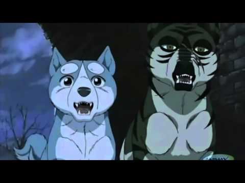 The Robotics Engineer King Part 14: Relax In The Stars + He's Alive?