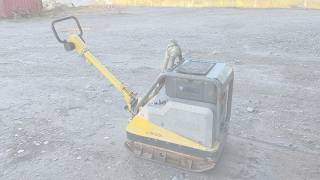 Plaque vibrante Wacker Neuson DPU6555He à vendre - Image 4 | Machineryline CA Plaque vibrante Wacker Neuson DPU6555He | Image 4 - Machineryline
